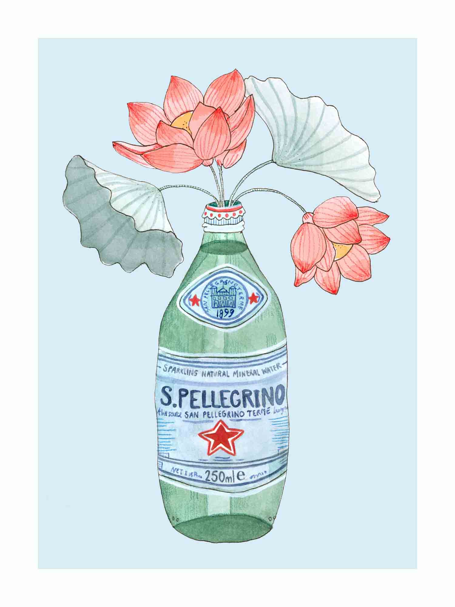 Japandi plakat med boblende pellegrino blomster. Håndtegnet dansk kunst fra Krull Studio.