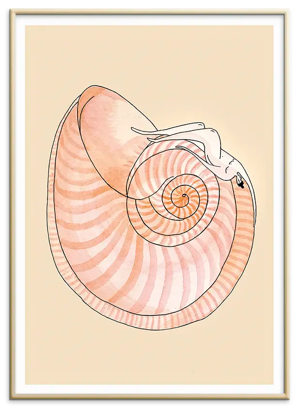 Messingfarvet aluminiumsramme til SEASHELL SYMPHONY kunstplakat
