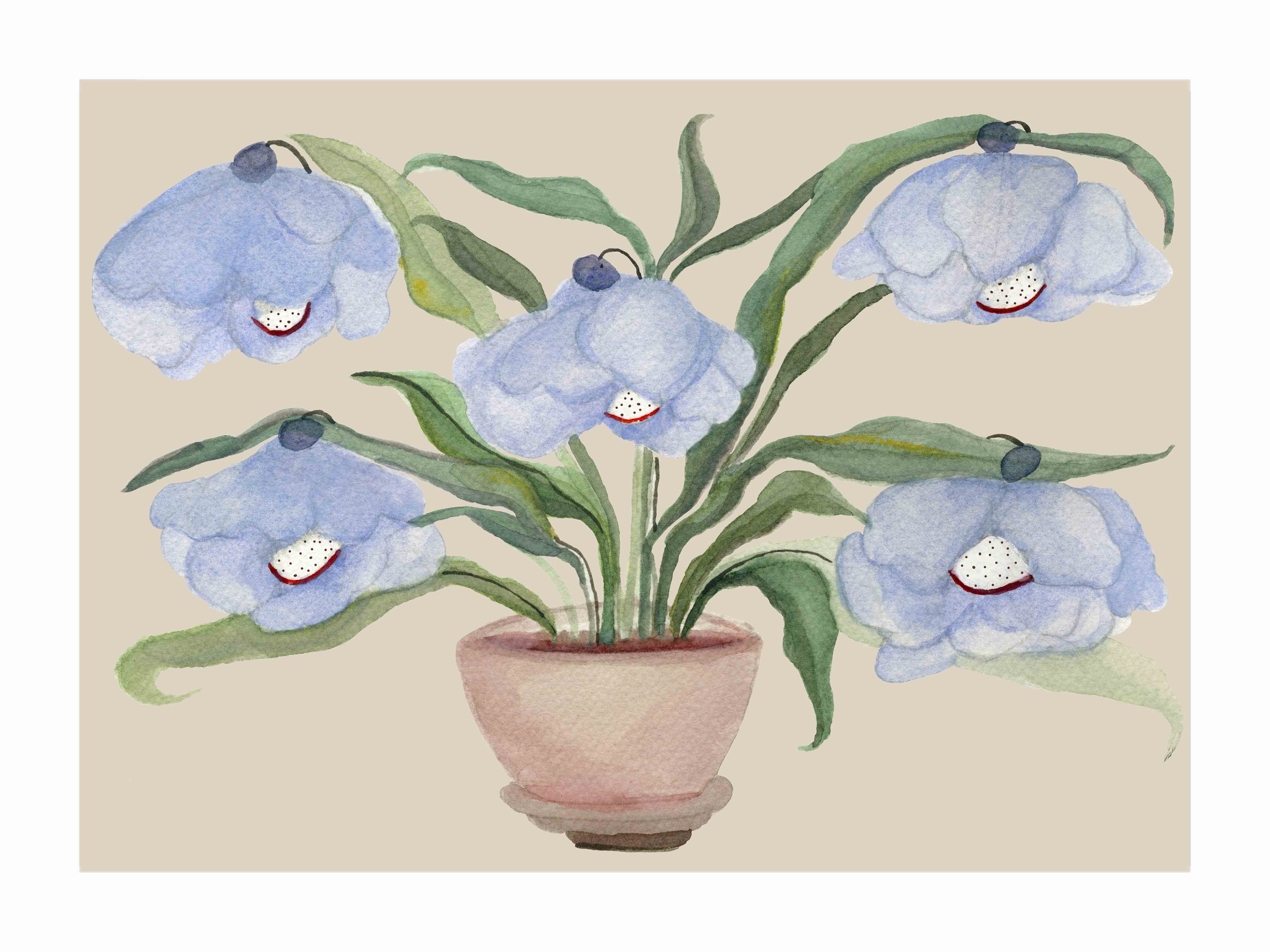 Japandi plakat med blå klokkeblomster i ørkenens varme. Håndtegnet dansk kunst fra Krull Studio.