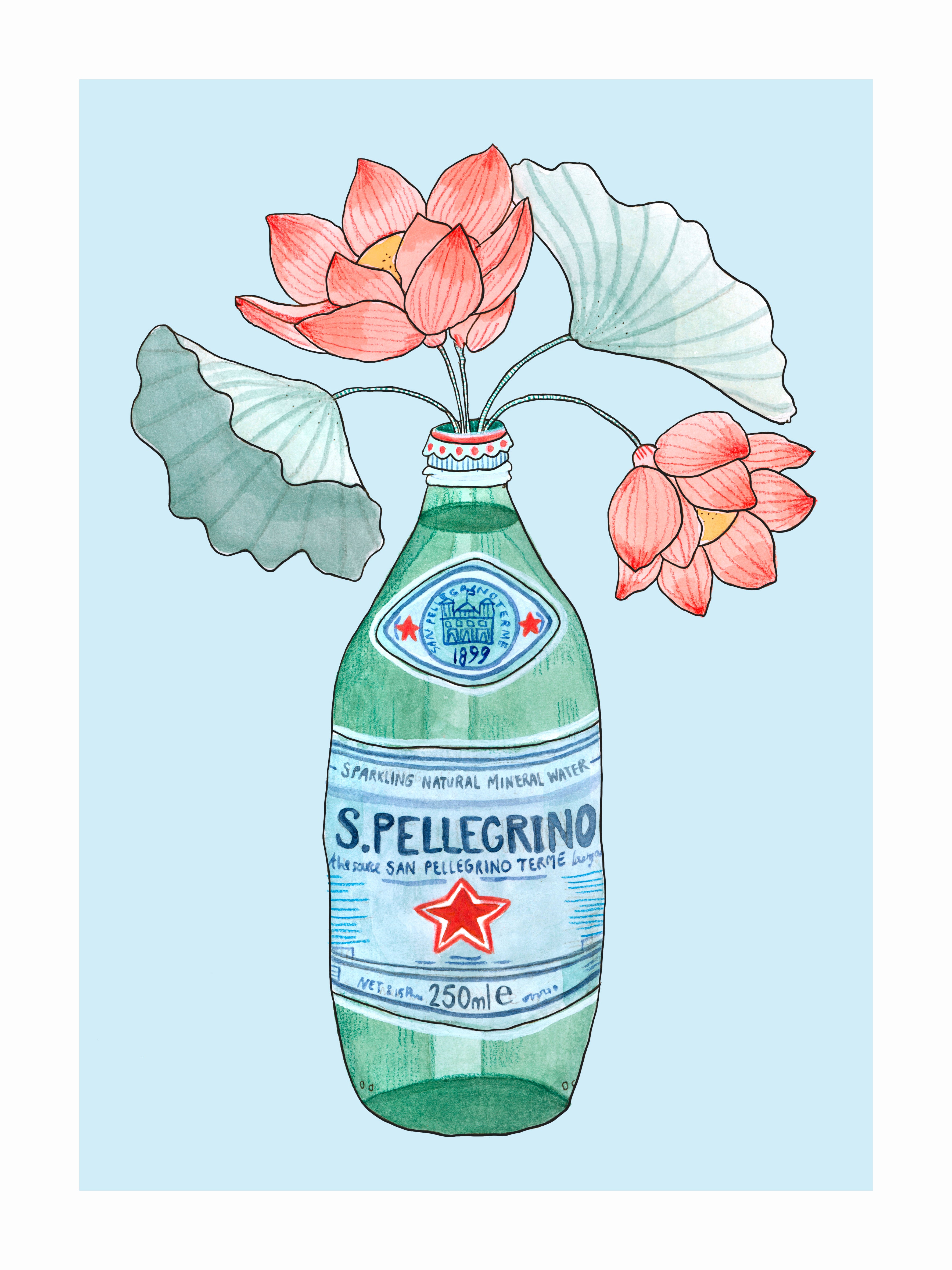 LILLIES DE PELLEGRINO kunstplakat med rosa lotusblomster i grøn Pellegrino-flaske